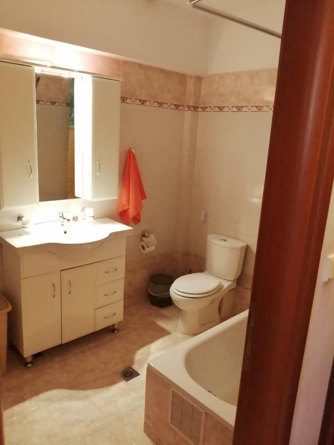 Swan'S Garden Olympus Luxury Apartment Літохоро Екстер'єр фото